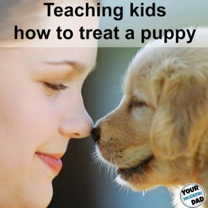 how to treat a puppy